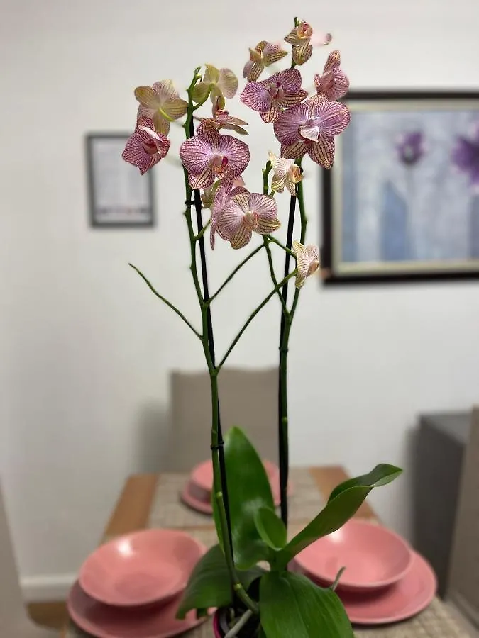 Arteg Apartments - Premium Durrës